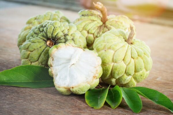 Advantages Of Custard Apple For Healthy And Fit Life