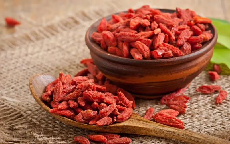 Well Being Advantages Of Goji Berry